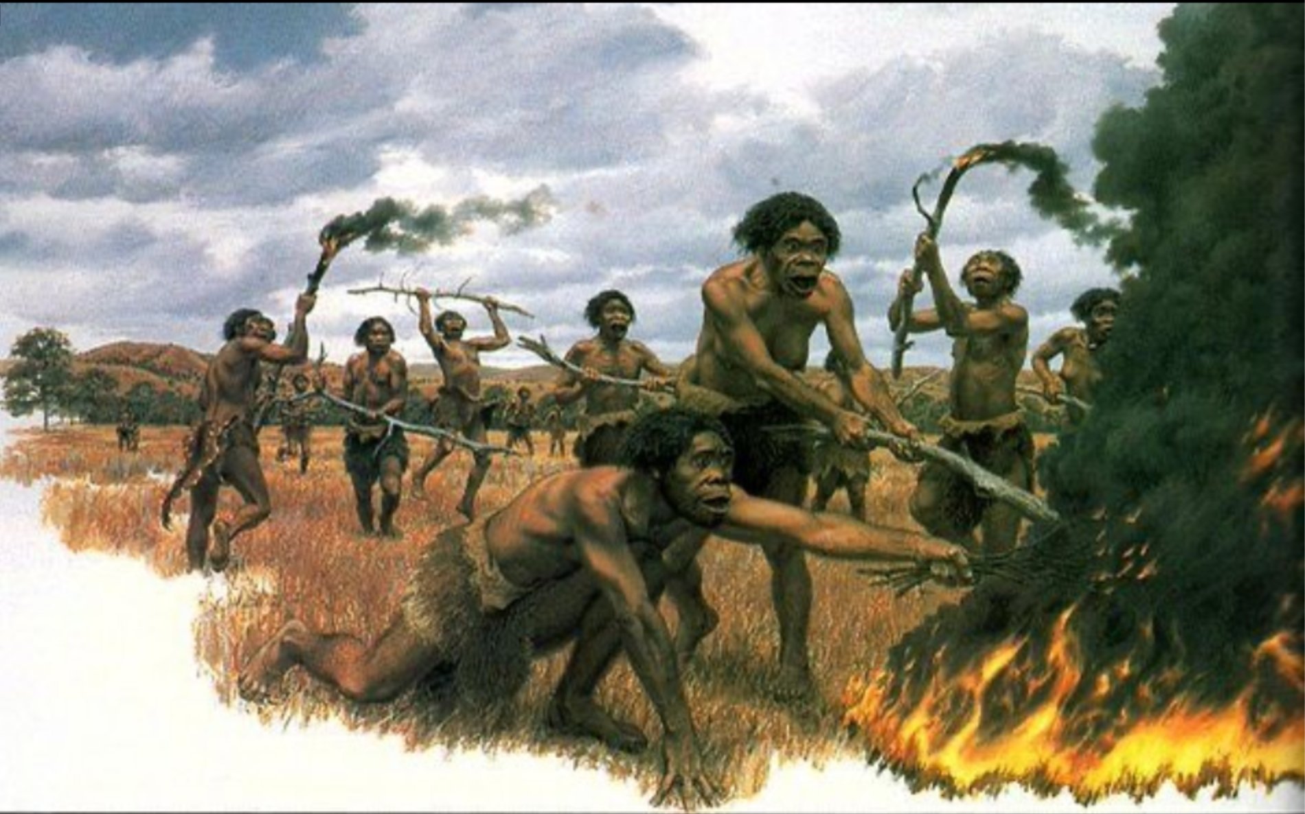 Domestication of primordial fire